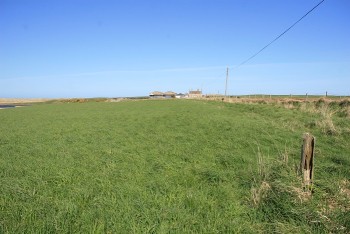 Corn bunting habitat – Credit: Hywel Maggs