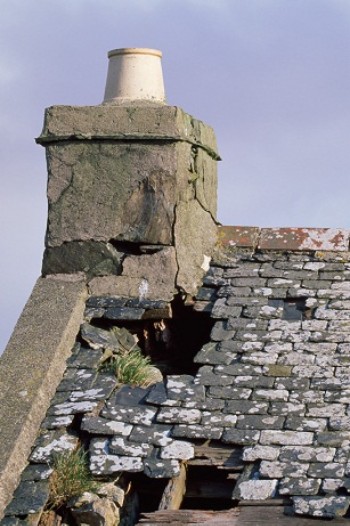 Chough nest site – Credit: Andy Hay – © RSPB images