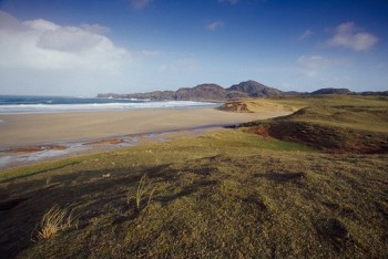 Chough feeding habitat – Credit: Andy Hay – © RSPB images