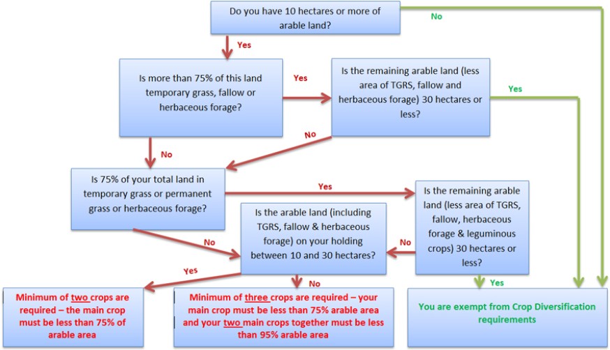 Crop diversification flow chart - do the requirements apply to me? Crop diversification flow chart - do the requirements apply to me?