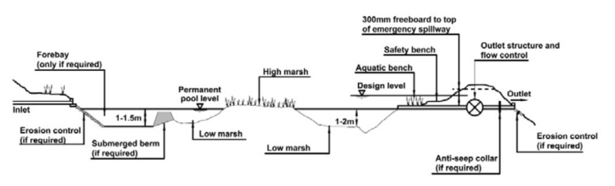 Cross-section of a shallow wetland Cross-section of a shallow wetland