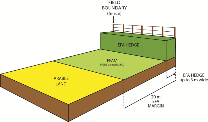 EFA location diagram one