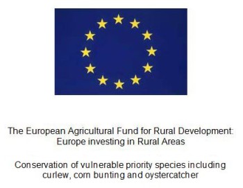 EU flag and wording for plaques EU flag and wording for plaques