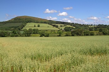 A range of radical proposals aimed at revitalising tenant farming in Scotland has been unveiled A range of radical proposals aimed at revitalising tenant farming in Scotland has been unveiled