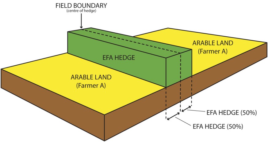 EFA hedge example four B