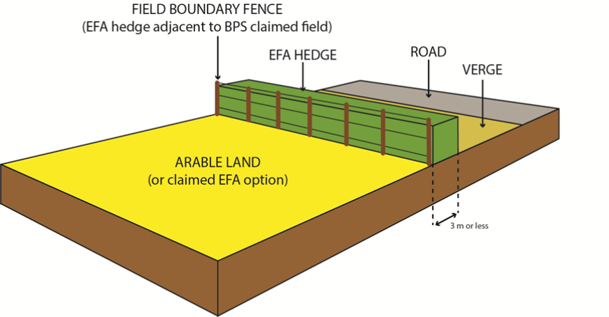 EFA hedge diagram example 1