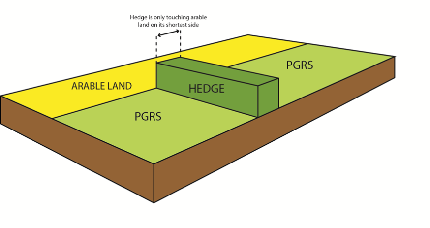 EFA hedge diagram example 3