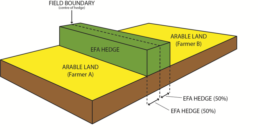 EFA hedge diagram example 4