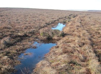 Ditch blocking with peat dams Ditch blocking with peat dams