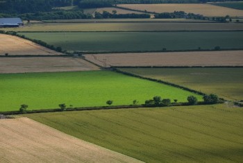 Hedgerows in an intensively farmed landscape – © Tony Seymour TFE 2014 Hedgerows in an intensively farmed landscape – © Tony Seymour TFE 2014