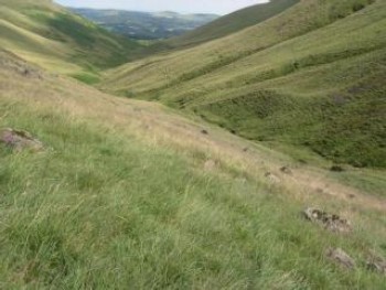 Calcareous grassland at Dollar Glen – Credit: Peter McPhail – © Scottish Natural Heritage Calcareous grassland at Dollar Glen – Credit: Peter McPhail – © Scottish Natural Heritage